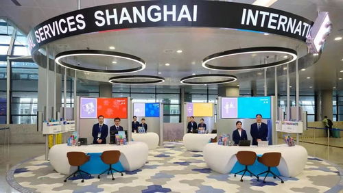 上海浦東機(jī)場(chǎng)外籍人員一站式綜合服務(wù)中心啟用 促進(jìn)國際化營商環(huán)境建設(shè)